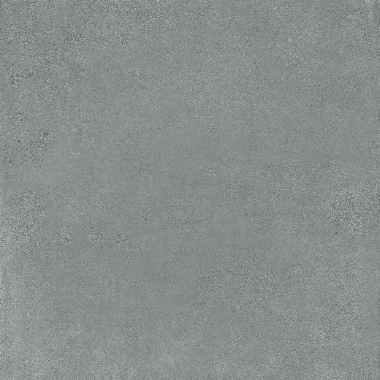 Image without description
