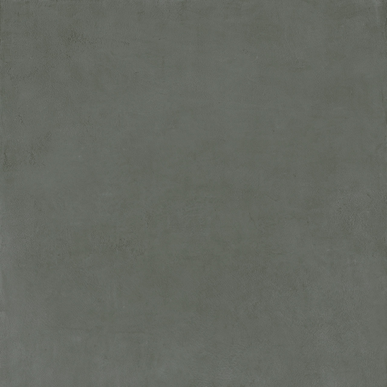 Image without description
