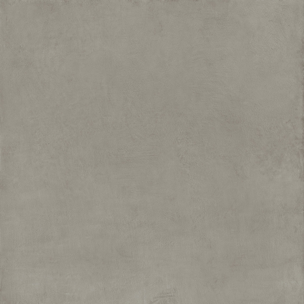 Image without description