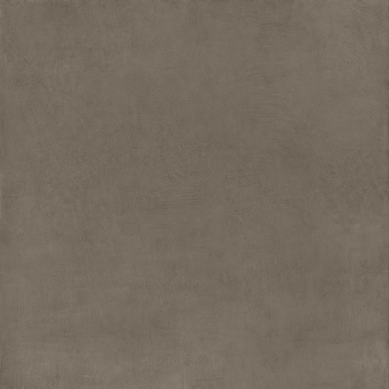 Image without description