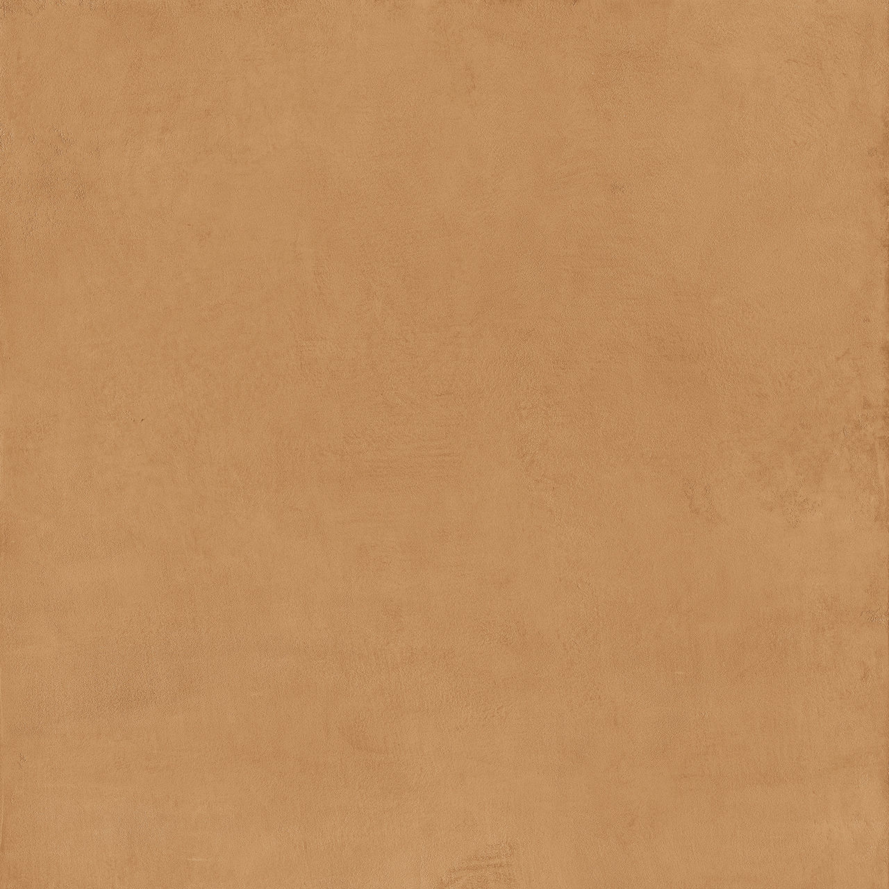 Image without description