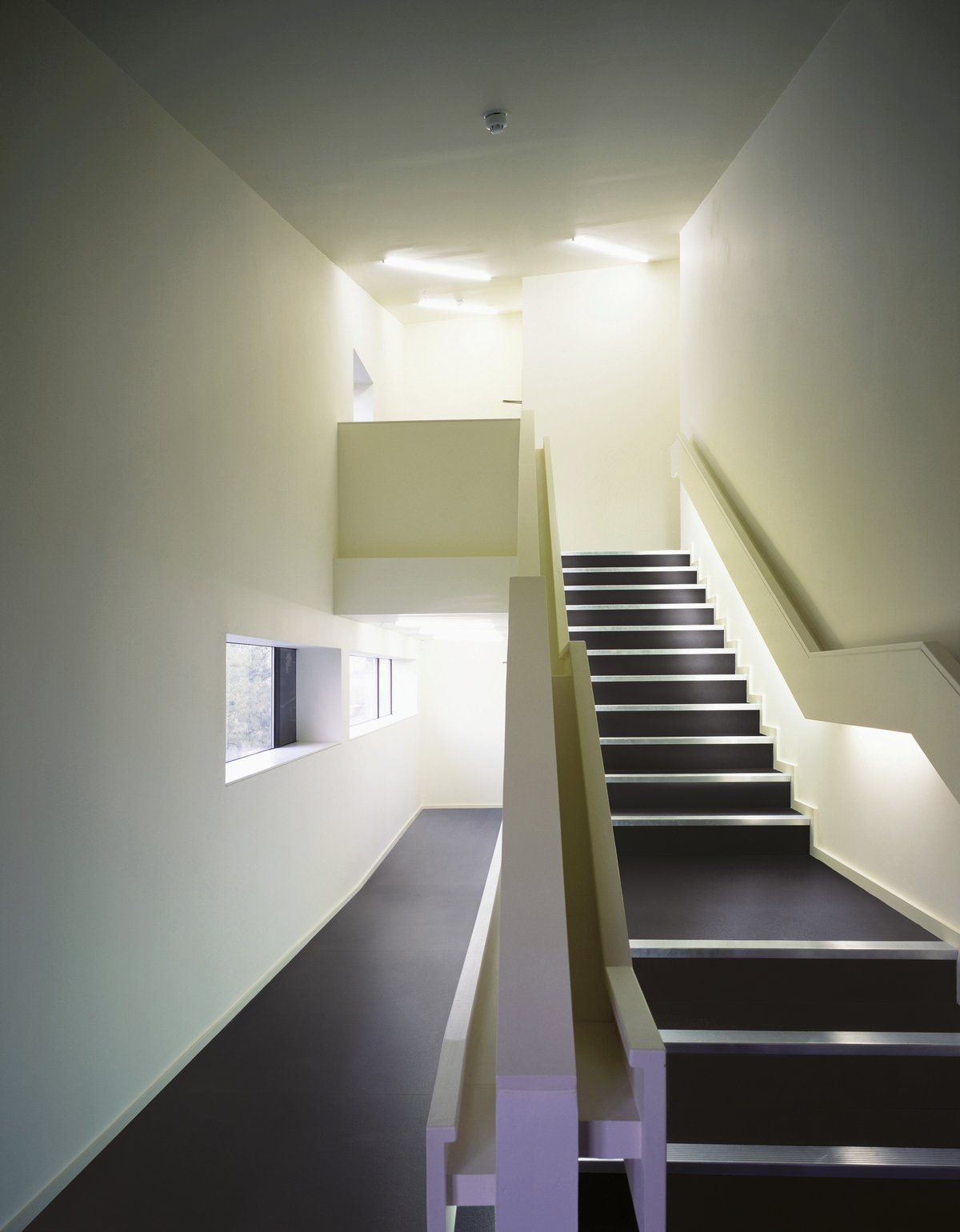 Image without description