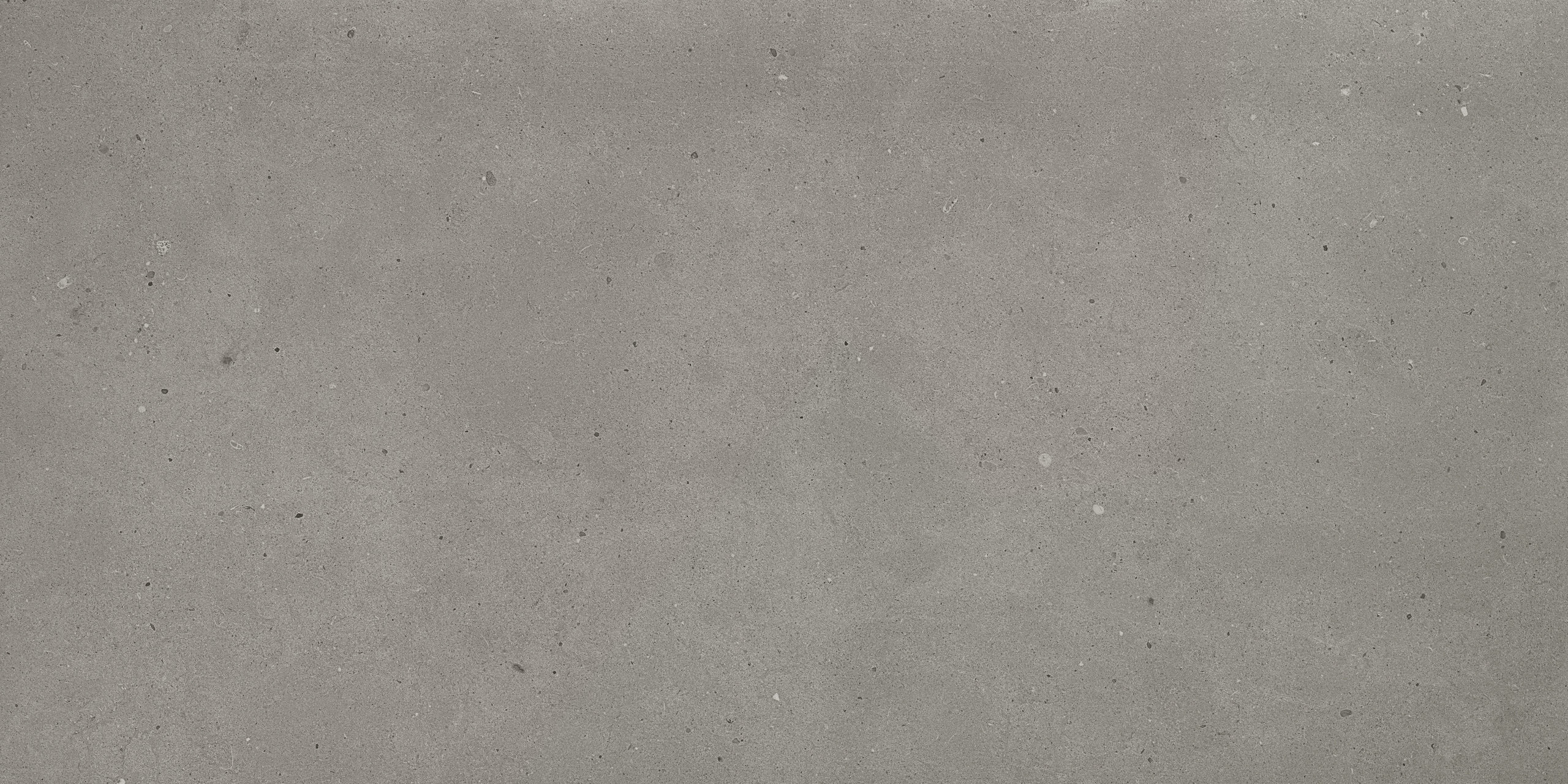 GREY FJORD