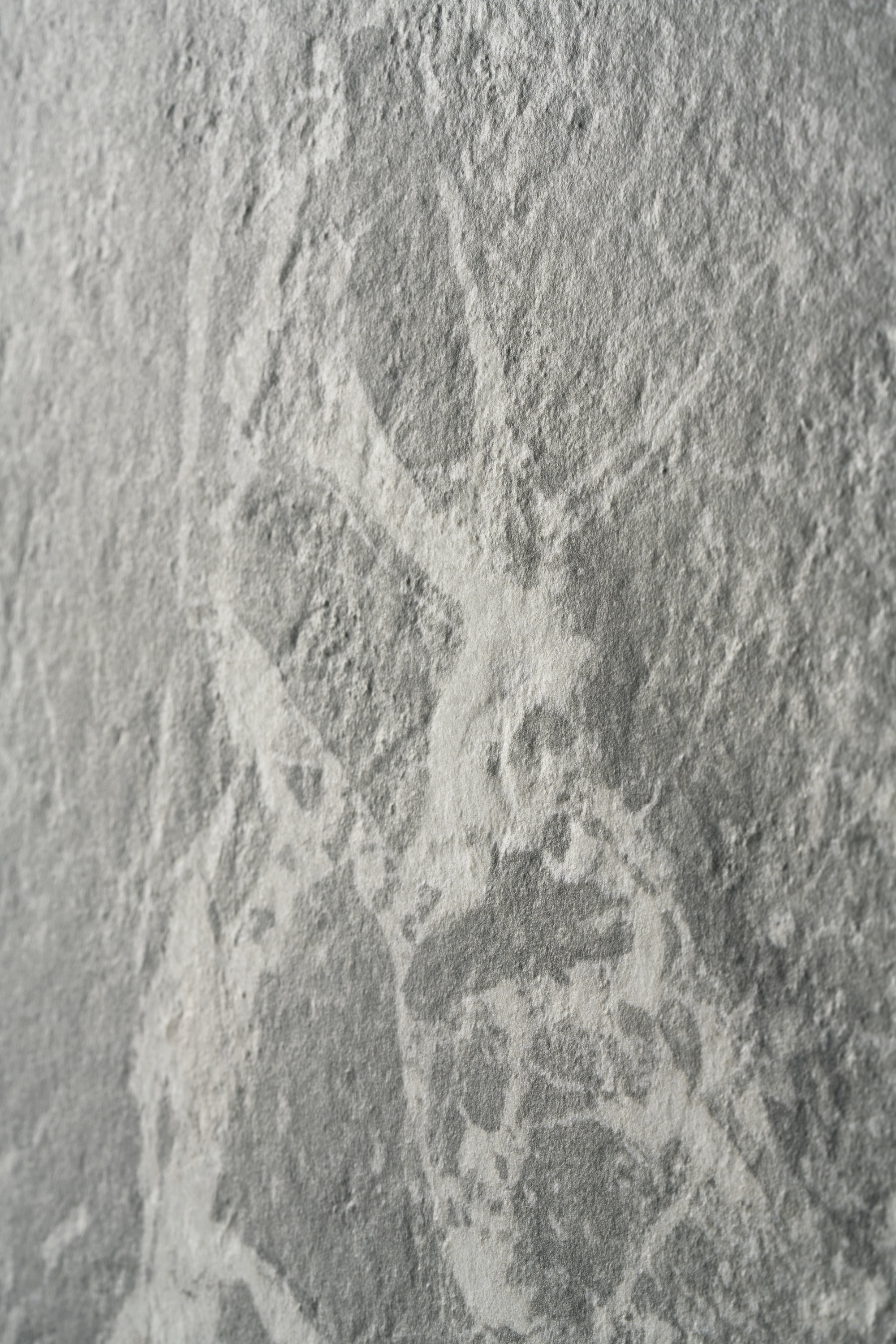 Image without description