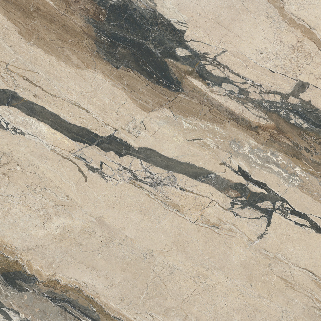 Image without description