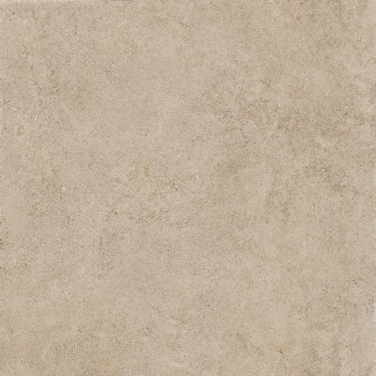 Image without description