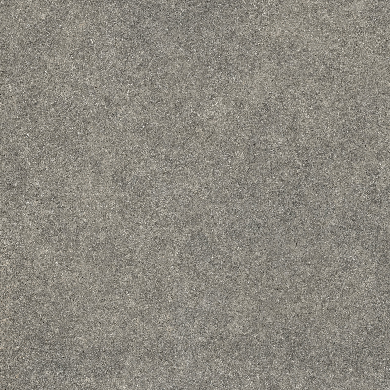 Image without description