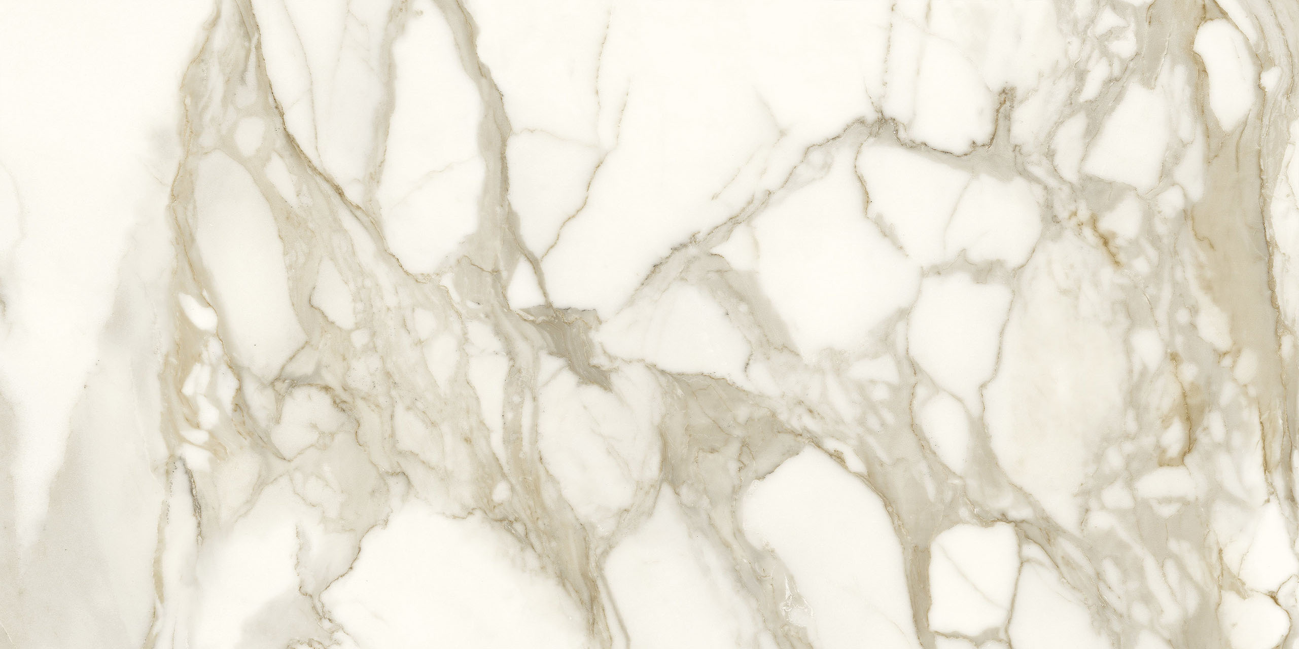 Image without description