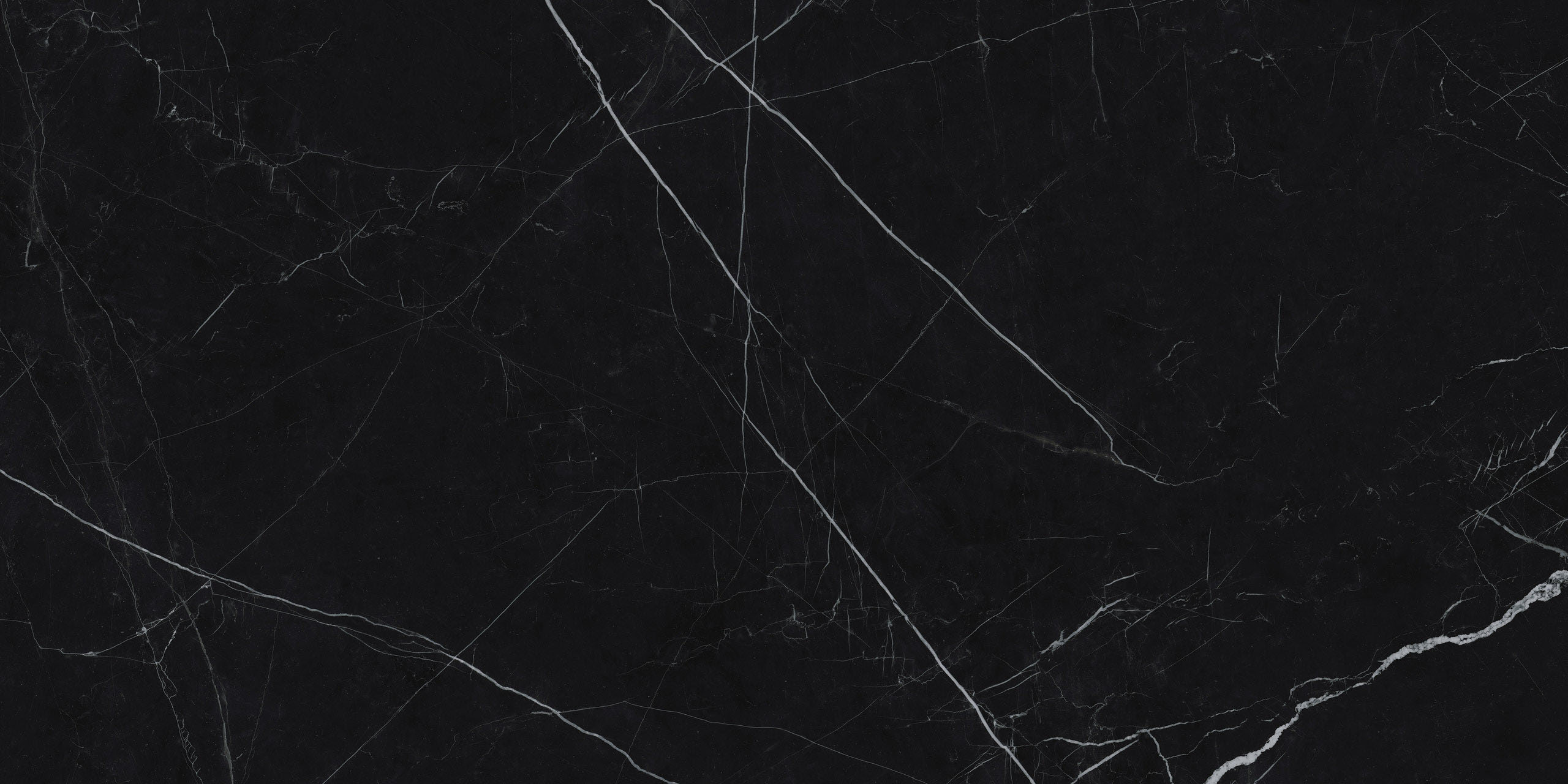 Image without description