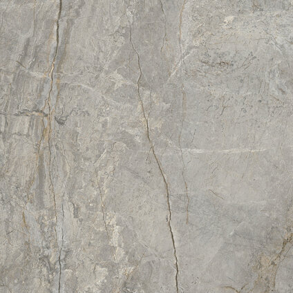 SILVER ROOT