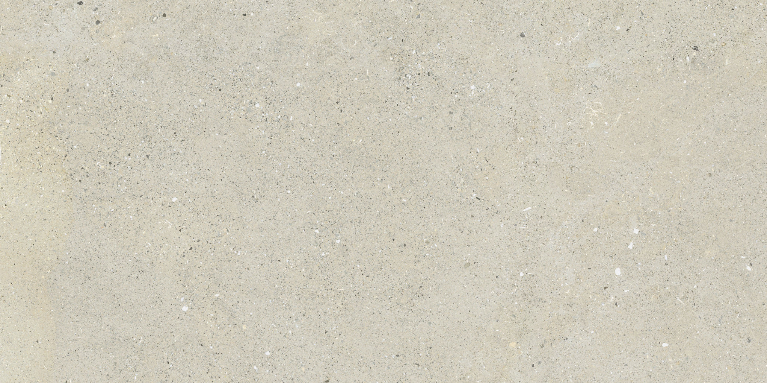 Image without description