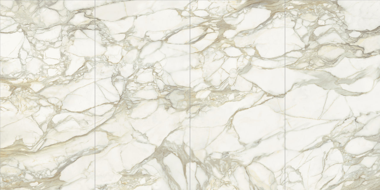 Image without description