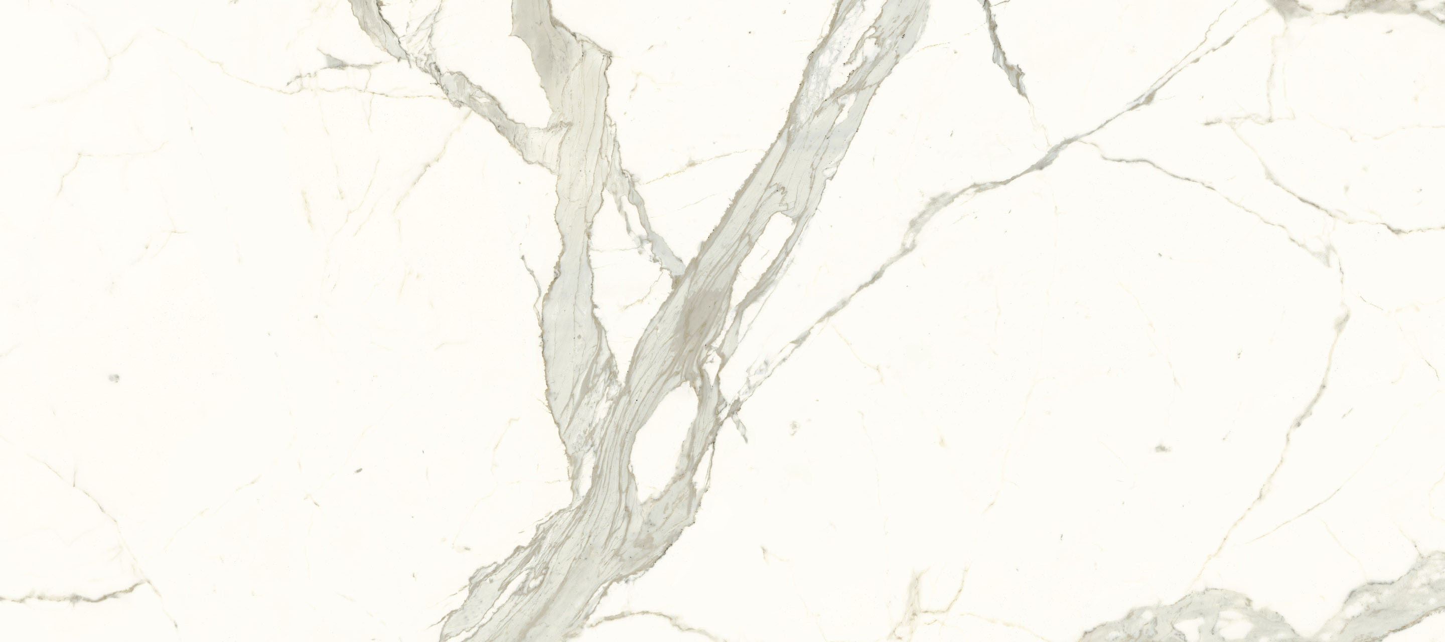 Image without description